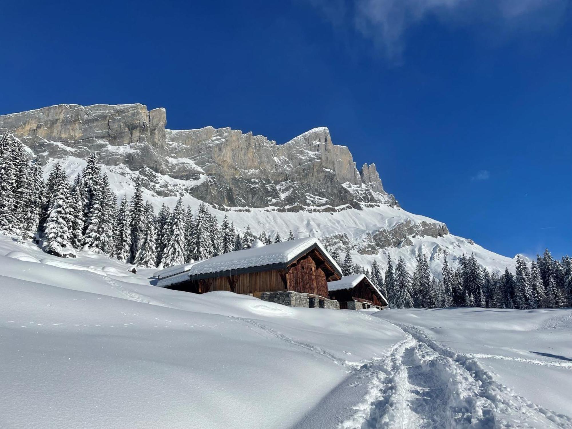 Chalet Du Grand Cerf Servoz Ngoại thất bức ảnh